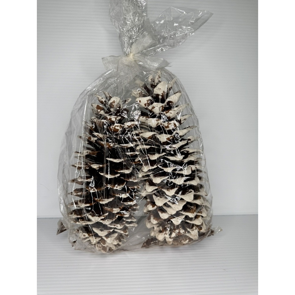 Large White Tipped Pine Cones Set of 2 12-13" Rustic Christmas Winter Decor